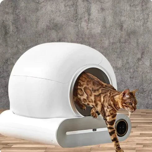 AutoClean Cat Litter Box
